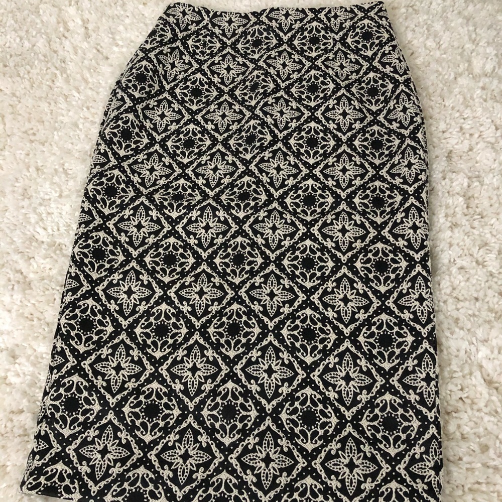 Zara Skirt